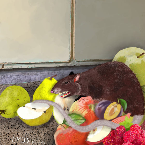 One Million Dollar Band - Fruitrat 1 One Million Dollar Band - Fruitrat 1