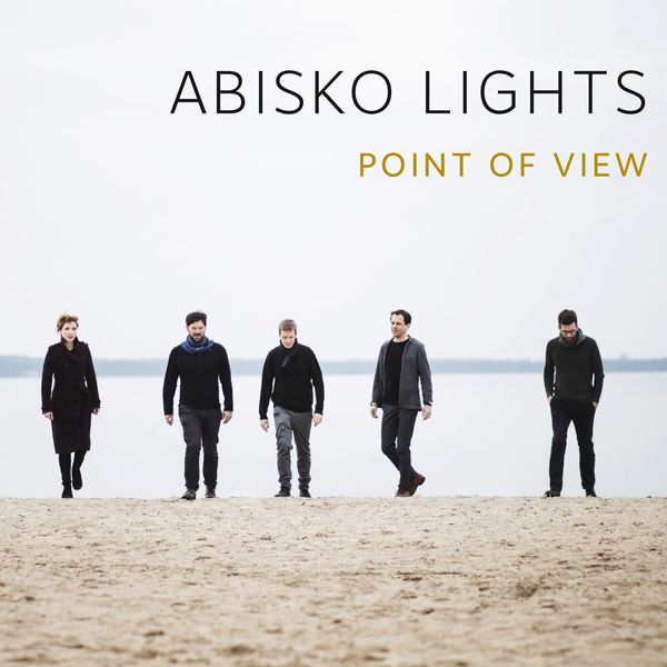 Abisko Lights|Point of View