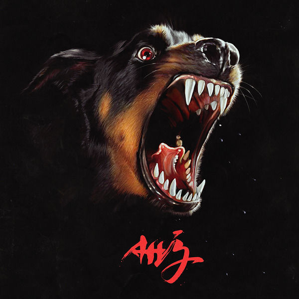 Albert Hammond Jr.|AHJ Albert Hammond Jr.|AHJ