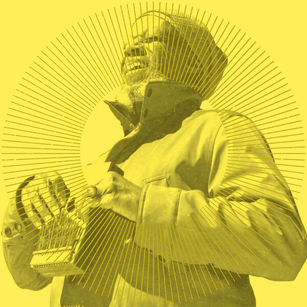 Laraaji|Introspection (Edit) Laraaji|Introspection (Edit)