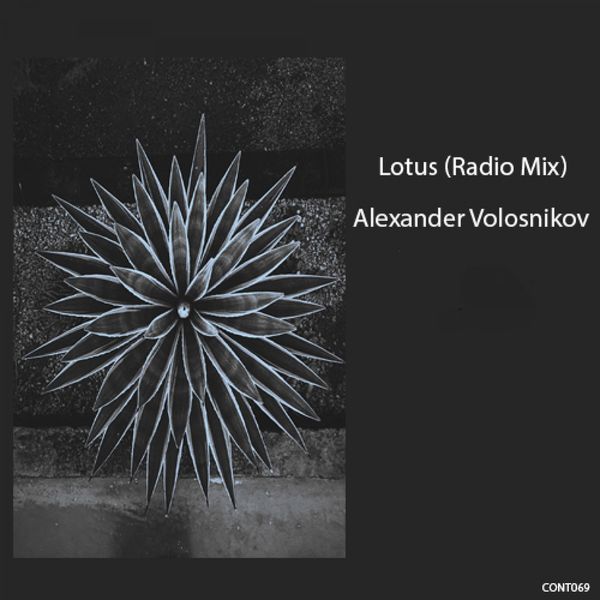 Alexander Volosnikov - Lotus Alexander Volosnikov - Lotus