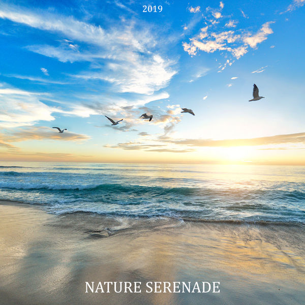 Relaxing Nature Sounds Collection|2019 Nature Serenade: Soothing Sounds for Sleep, Meditation, Study, Relax