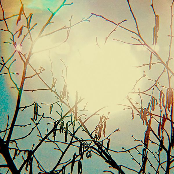 Trentemøller|Golden Sun Trentemøller|Golden Sun