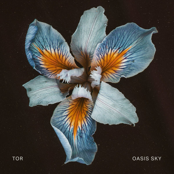 Tor - Oasis Sky Tor - Oasis Sky
