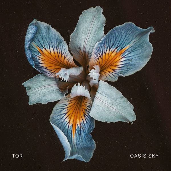 Tor|Oasis Sky