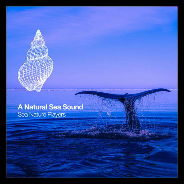 Sea Nature Players - A Natural Sea Sound Sea Nature Players - A Natural Sea Sound