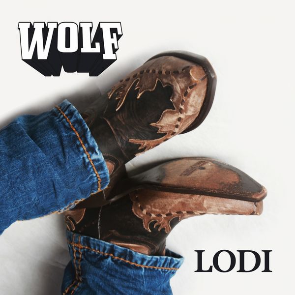 Wolf - Lodi Wolf - Lodi