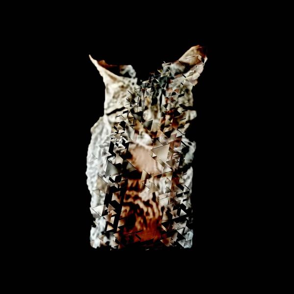 RomanIsThanatos - Kin RomanIsThanatos - Kin