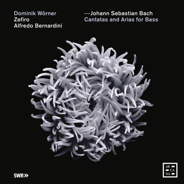Alfredo Bernardini - Bach: Cantatas and Arias for Bass Alfredo Bernardini - Bach: Cantatas and Arias for Bass