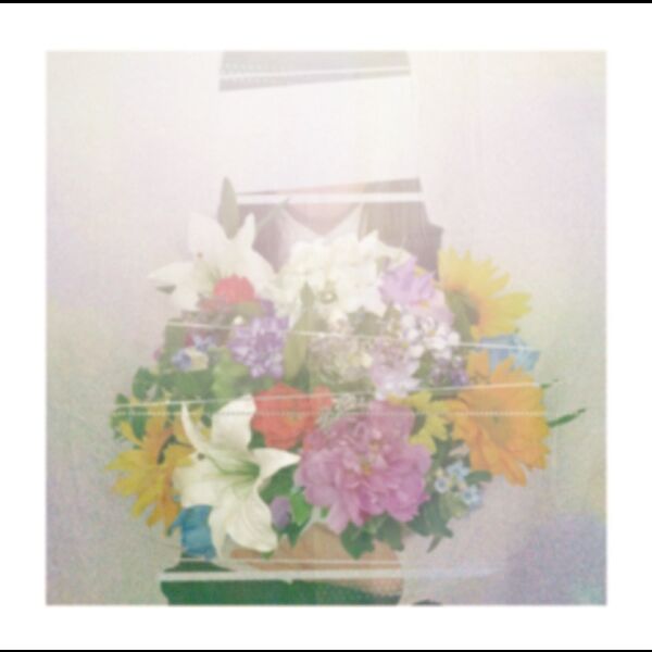 夏草が邪魔をする, ヨルシカ - Qobuz