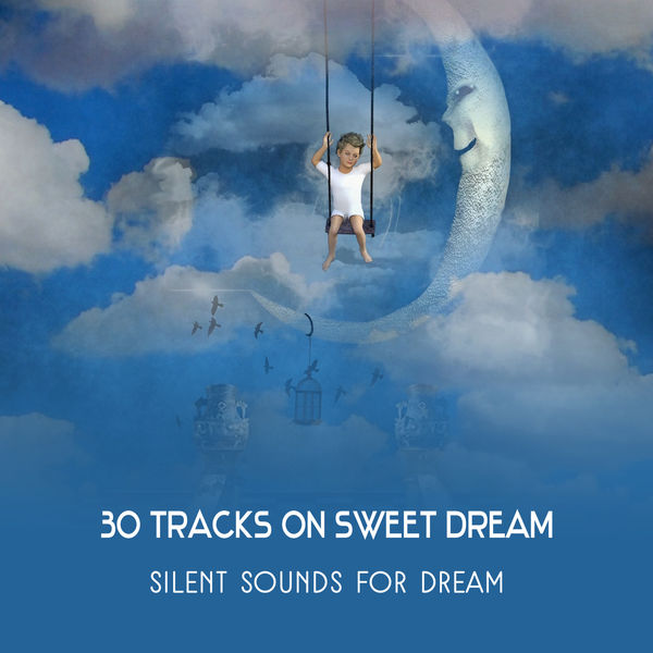 30 Tracks on Sweet Dream Silent Sounds for Dream Music for