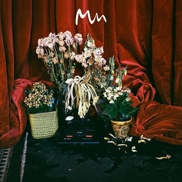 Model Man - Beta Songs Model Man - Beta Songs