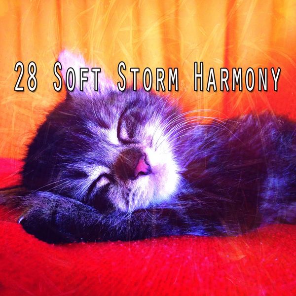 Rain Sounds - 28 Soft Storm Harmony Rain Sounds - 28 Soft Storm Harmony