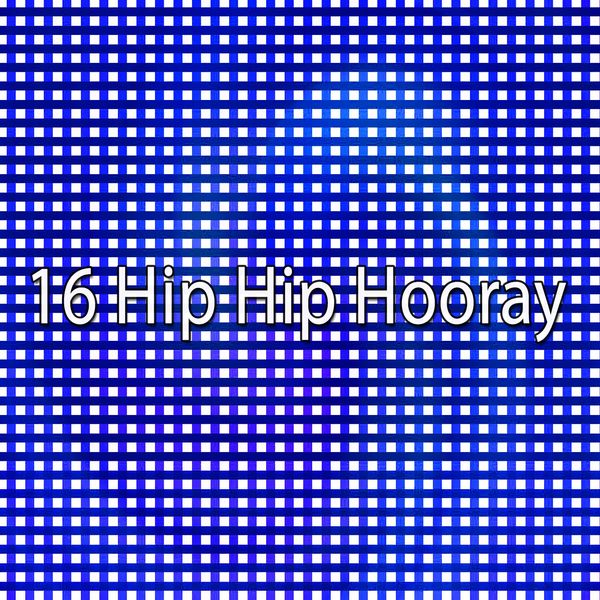 Happy Birthday Party Crew - 16 Hip Hip Hooray Happy Birthday Party Crew - 16 Hip Hip Hooray