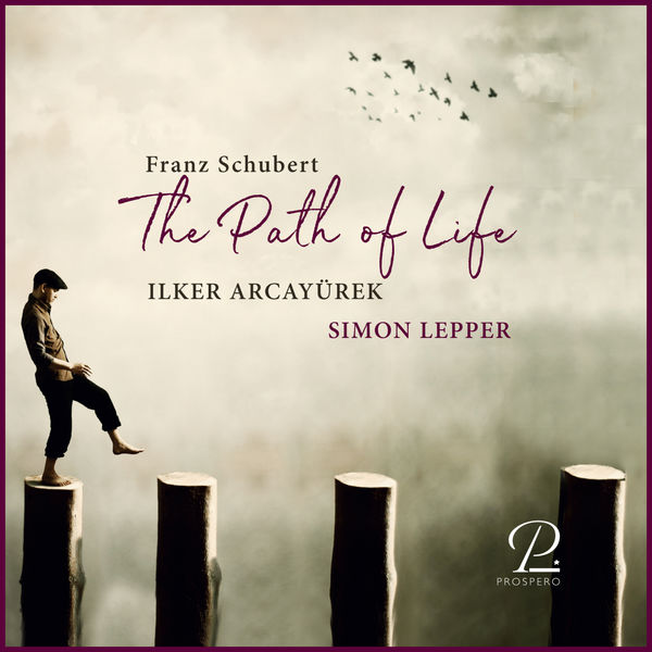 Ilker Arcayurek|The Path of Life