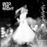 Into the Night Nightfall