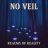 Realms of Reality No Veil