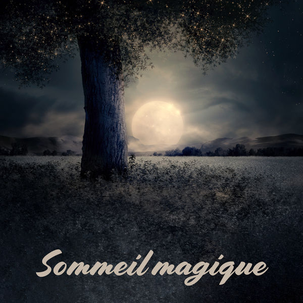 Zone de Détente|Sommeil magique: Détente et bien-être toute la nuit, Rêver en profondeur et visualisation Zone de Détente|Sommeil magique: Détente et bien-être toute la nuit, Rêver en profondeur et visualisation
