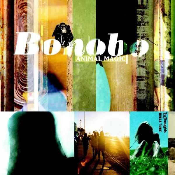 Bonobo - Animal Magic Bonobo - Animal Magic