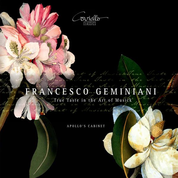Apollo's Cabinet|Geminiani: True Taste in the Art of Musick Apollo's Cabinet|Geminiani: True Taste in the Art of Musick