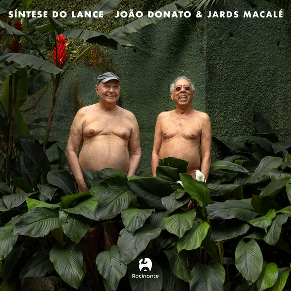 João Donato|Síntese do lance