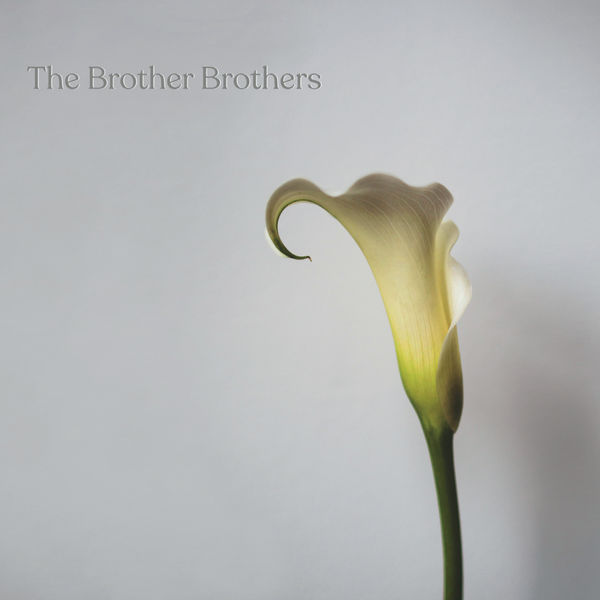 The Brother Brothers|On The Road Again