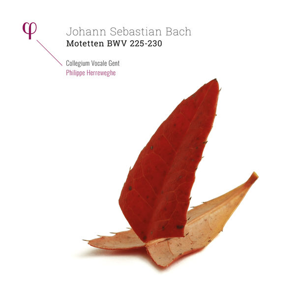 Collegium Vocale Gent - Bach: Motetten, BWV 225-230 Collegium Vocale Gent - Bach: Motetten, BWV 225-230