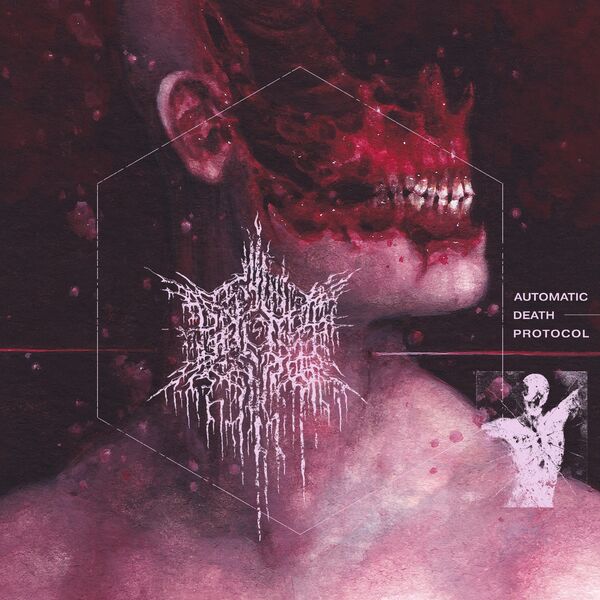 PSYCHO-FRAME|BEATEN BEYOND IDENTIFICATION