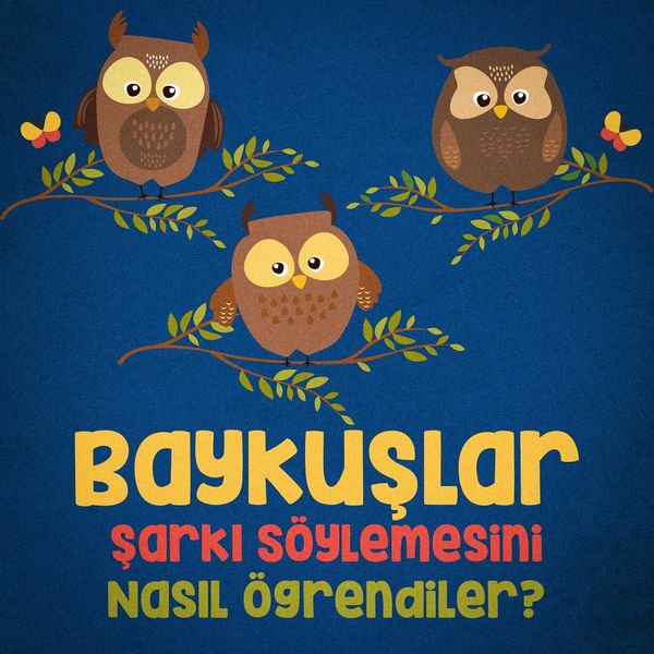 Özlem Türay - Baykuşlar Şarkı Söylemesini Nasıl Öğrendiler Özlem Türay - Baykuşlar Şarkı Söylemesini Nasıl Öğrendiler