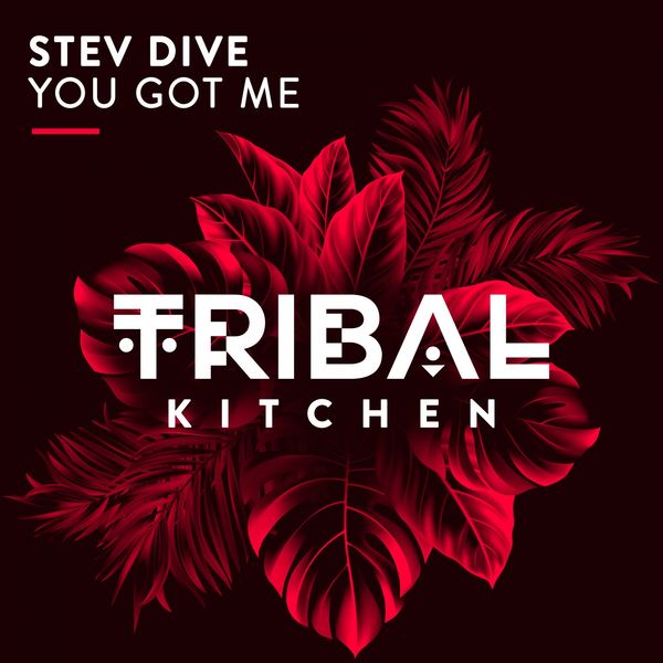 Stev Dive|You Got Me Stev Dive|You Got Me