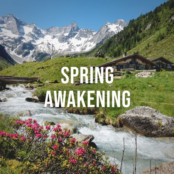 Alpine Sounds|Spring Awakening: Relaxing Natural Sounds of a Spring Meadow in the Alps, White Noise to Calm Your Stressed Mind