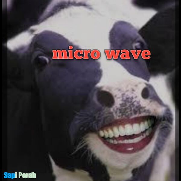 Micro Wave, Sapi Perah - Qobuz