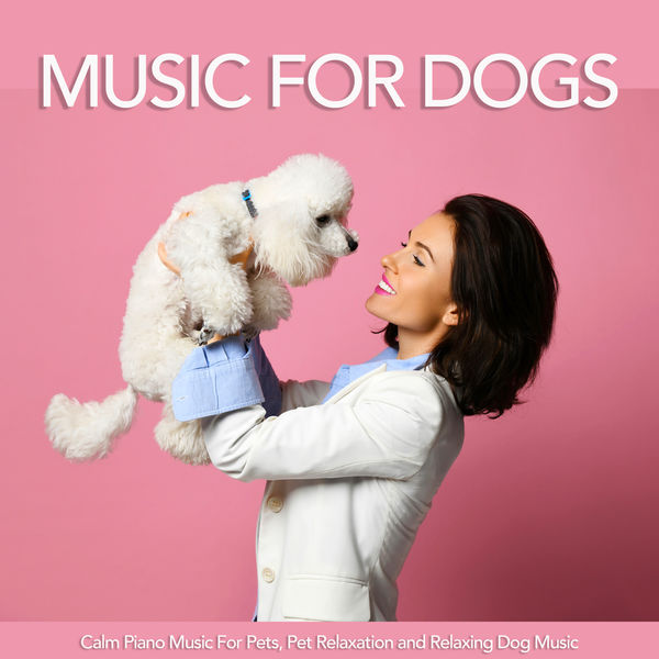 Dog Music|Music For Dogs: Calm Piano Music For Pets, Pet Relaxation and Relaxing Dog Music