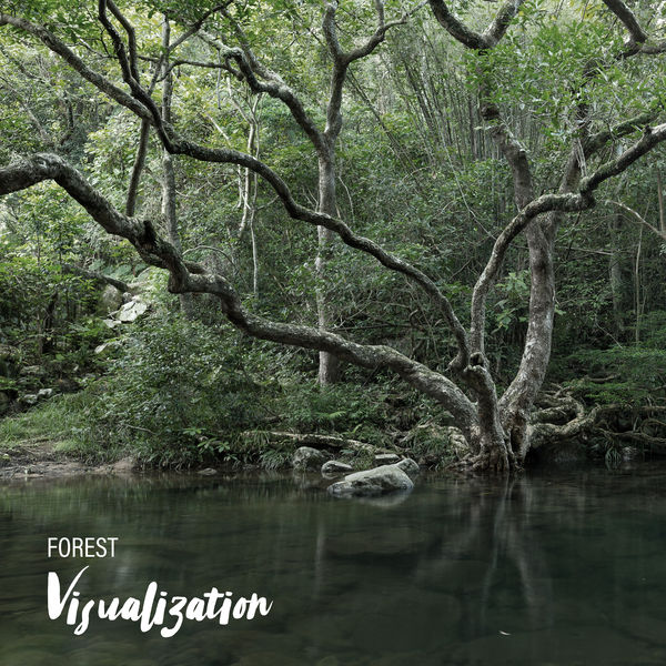 Nature Sounds Relaxation: Music for Sleep, Meditation, Massage Therapy, Spa - Forest Visualization - Close Your Eyes and Take Your Thoughts to the Heart of Nature with This Great New Age Music, Nature Sounds Relaxation, Woodland Escape, Bird Calls, Spirit of Harmony Nature Sounds Relaxation: Music for Sleep, Meditation, Massage Therapy, Spa - Forest Visualization - Close Your Eyes and Take Your Thoughts to the Heart of Nature with This Great New Age Music, Nature Sounds Relaxation, Woodland Escape, Bird Calls, Spirit of Harmony