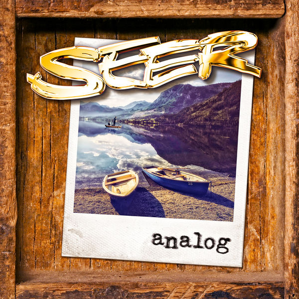 Seer|Analog