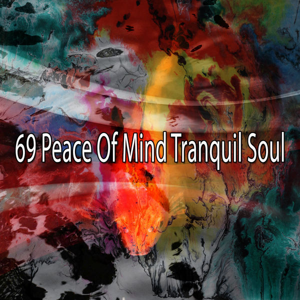 Yoga Workout Music - 69 Peace of Mind Tranquil Soul Yoga Workout Music - 69 Peace of Mind Tranquil Soul