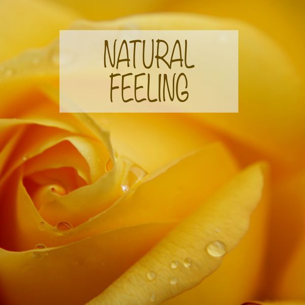 Nature Sounds - Natural Feeling Nature Sounds - Natural Feeling
