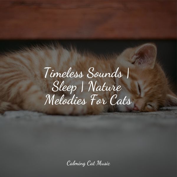 Timeless Sounds | Sleep | Nature Melodies For Cats, Cat Music Therapy ...