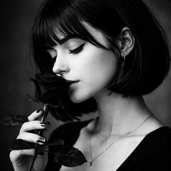 Anne Bloom Rise Black Rose, Anne Bloom - Qobuz