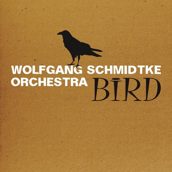Wolfgang Schmidtke Orchestra|Bird (Live, Cottbus, 2020) Wolfgang Schmidtke Orchestra|Bird (Live, Cottbus, 2020)