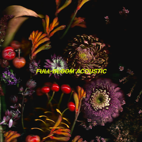Alpines|Full Bloom (Acoustic Version) Alpines|Full Bloom (Acoustic Version)