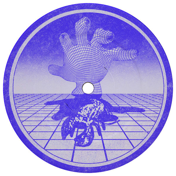 Shedbug - Timeframe Shedbug - Timeframe