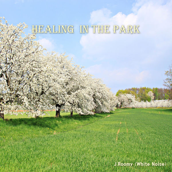 J.Roomy (White Noise) - Healing in the Park J.Roomy (White Noise) - Healing in the Park
