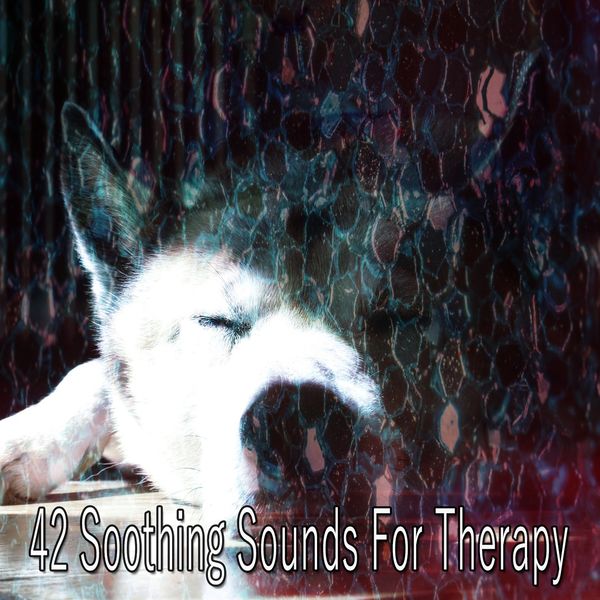 Deep Sleep Relaxation - 42 Soothing Sounds for Therapy Deep Sleep Relaxation - 42 Soothing Sounds for Therapy