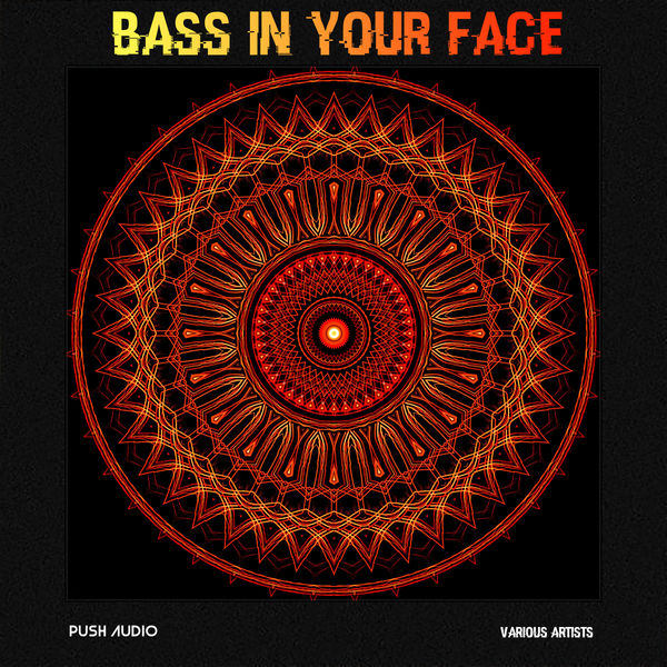 Various Artists|Bass In Your Face