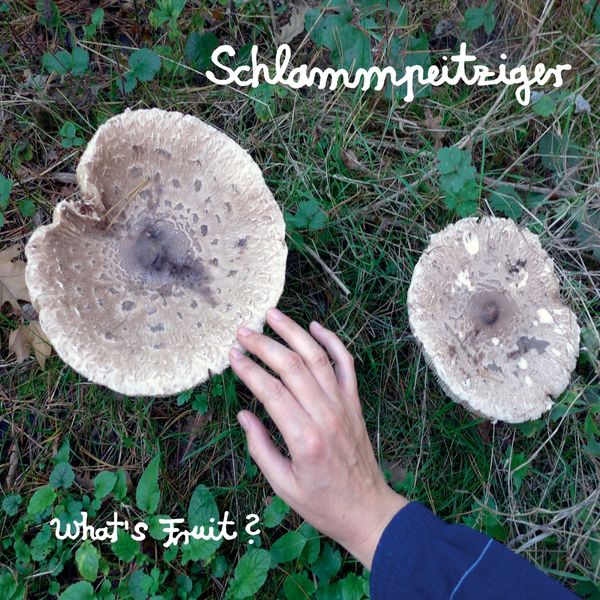 Schlammpeitziger|What's Fruit Schlammpeitziger|What's Fruit