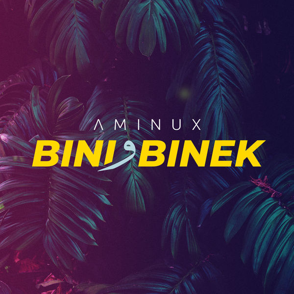 Aminux - Bini W Binek Aminux - Bini W Binek