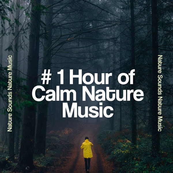 Nature Sounds Nature Music|# 1 Hour of Calm Nature Music