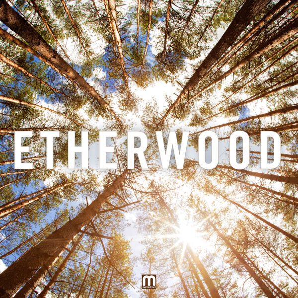 Etherwood|Etherwood Etherwood|Etherwood