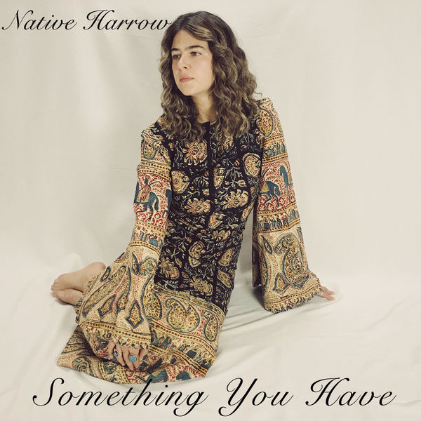 Native Harrow - Something You Have Native Harrow - Something You Have